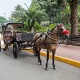 Cultural City Tour in Luxor