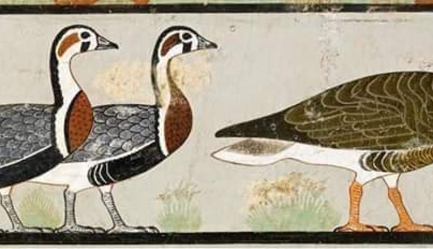 The Geese of Meidum painting
